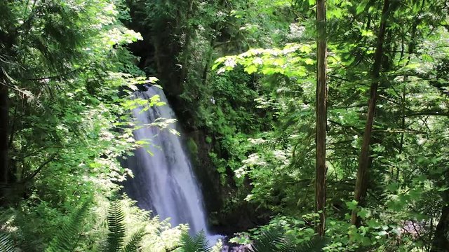 panning down waterfall and forets view