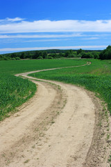 Country road in the field