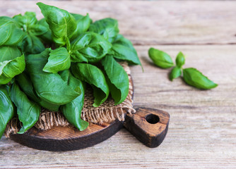 Fresh green basil