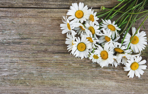 Chamomile flowers on a wooden table