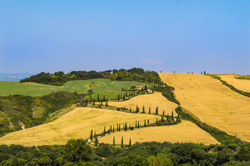 Fototapeta premium Tuscany - Val d'Orcia, Italy