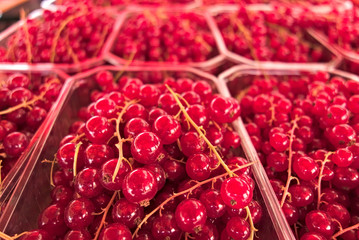 The redcurrant, or red currant (Ribes rubrum) is a member of the genus Ribes in the gooseberry family.