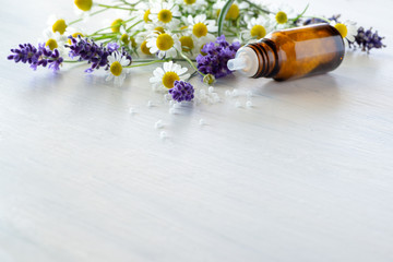 Homöopathie: Globulis, Kamillenblüten und Lavendel auf weißem Holz, viel Textfreiraum