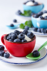 Vanilla ice cream with fresh blueberries