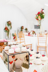 Candy bar with a lot of desserts, meringue, cupcake, fruit and sweet cakes. Sweet table for birthday or wedding.