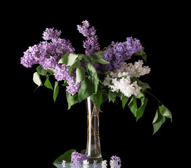 Pink and white lilac branches in an elegant glass vase, isolated on black
