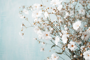Fototapety  Bouquet of gypsophila on a light blue background. Small white flowers