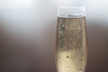 champagne in a glass with bubbles