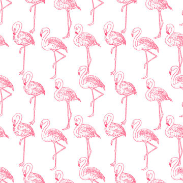 seamless background of flamingos