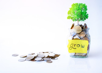 The coins and  plant in bottle on White  background. The plant is grown by the coins in the bottle...