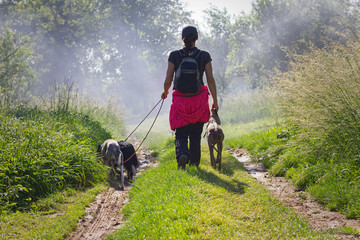 Owner on a walk with her dogs 