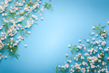 White flowers composition on blue