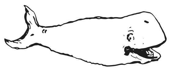 Fototapeta premium whale is laughing #vector #isolated Wal lacht