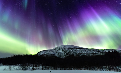 Northern lights in Lofoten islands