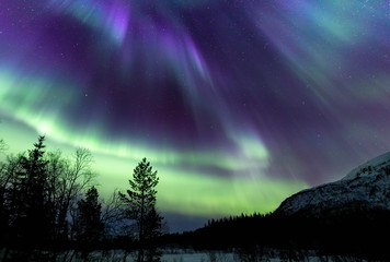 Northern lights in Lofoten islands