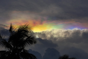 Iridescent Pileus clouds