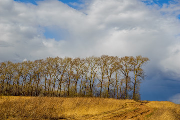 Yellow field in Nizhny Novgorod Region, Russia