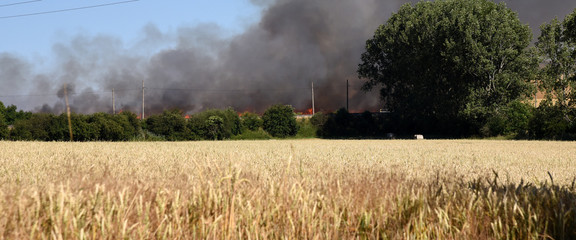 Feldbrand mit dicken, dunklen Rauchschwaden