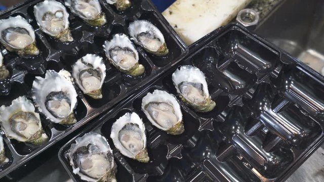 Dozen oysters on plastic tray - Sydney fish market