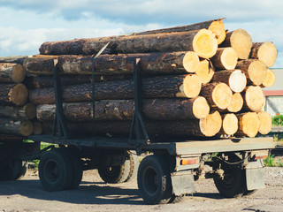 Tip truck transportation of sawn timber.