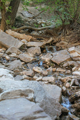 Fototapeta na wymiar Waterfall Hikes CO 