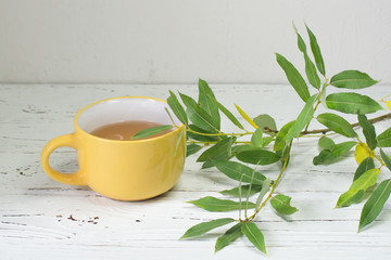 yellow tea mug and green foliage on white wooden table
