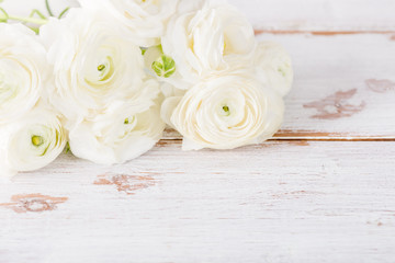 Obraz na płótnie Canvas Bouquet of White Ranunculus Buttercup Flowers