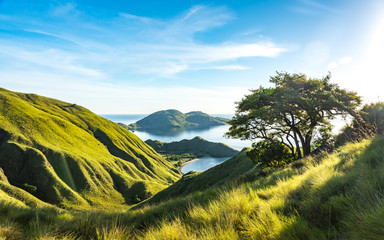 Beautiful Valley View of Gili Lawa with Clear Sky. Komodo National Park, Labuan Bajo, Flores, Indonesia