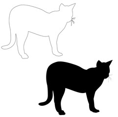 vector, isolated silhouette cat, outline