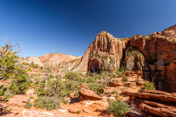 Landscape in Zion National Park