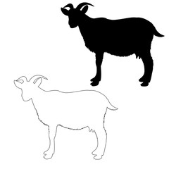 vector, isolated silhouette of goat on white background