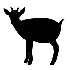 isolated silhouette of goat with horns on white background
