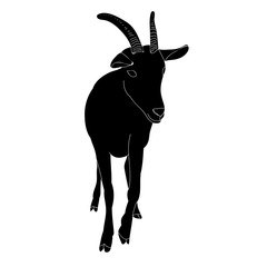  isolated black silhouette goat with horns standing