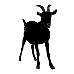 vector, isolated black silhouette goat with horns standing