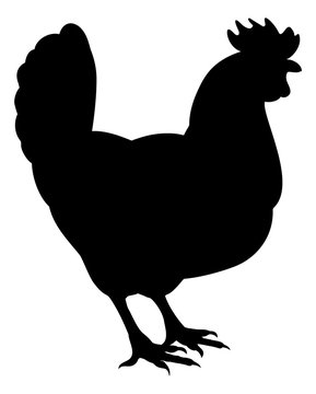 recommend clip art: Chicken Rooster Farm Animal Silhouette