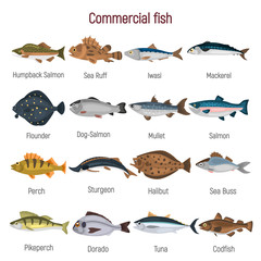 Commercial fish of the world color icons set isolated on white - 212430978