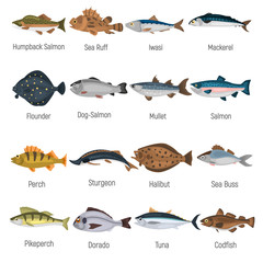 Commercial fish of the world color icons set isolated on white