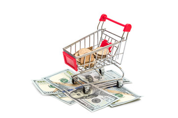 Shopping cart with coin on dollar bills. Isolated on white. Business concept.