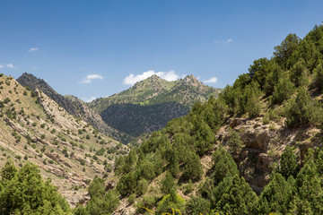 Fototapeta na wymiar Juniperus Protected Area, Hezar Masjed Mountains, Khorasan, Iran
