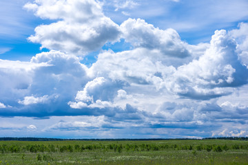 Obraz premium white clouds over the summer field
