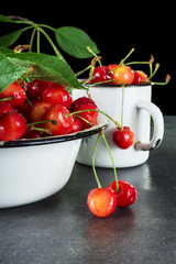 Bowl and mug are filled with ripe, washed cherries with petioles, on grey surface