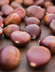 Shiny and ripe chestnuts for Christmas. Fresh and sweet.