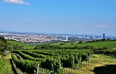 Weingüter und Wien