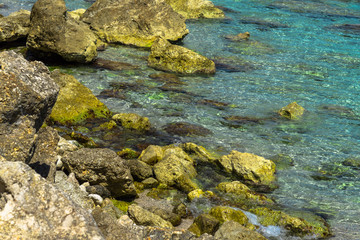 Landscape at the sea