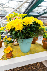 Flowers in hotchpotch
