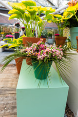 Flowers in hotchpotch