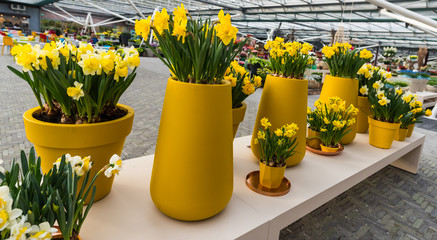 Flowers in hotchpotch