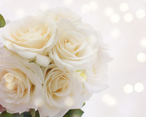 White roses on a light background