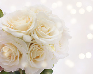 Obraz premium White roses on a light background