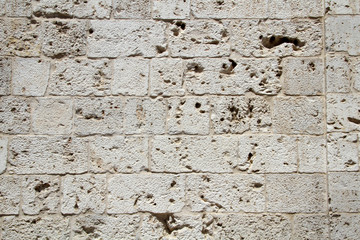 Texture - background of an old stone wall made of shellfish. The stone is all speckled with holes and scratches from the time. Vintage old building
